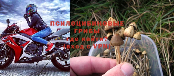 хмурый Абинск