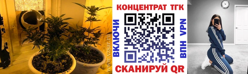 OMG как войти  купить  цена  Сурск  ТГК вейп с тгк 